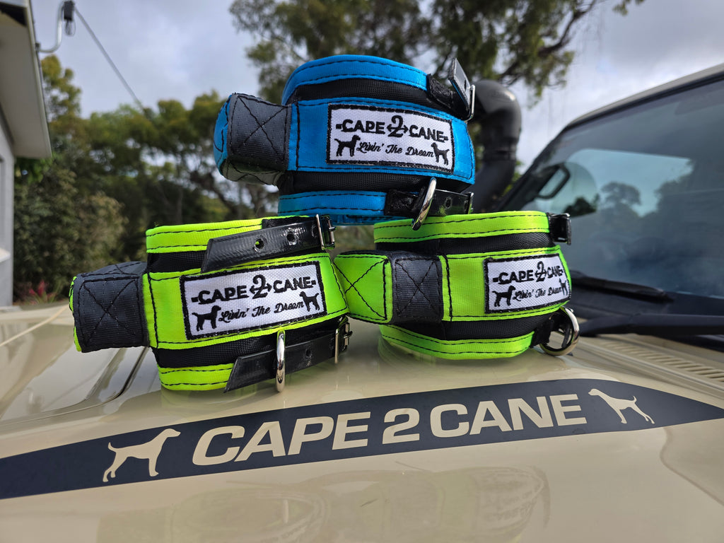 Neck Collar With In-Built Tracker Protector