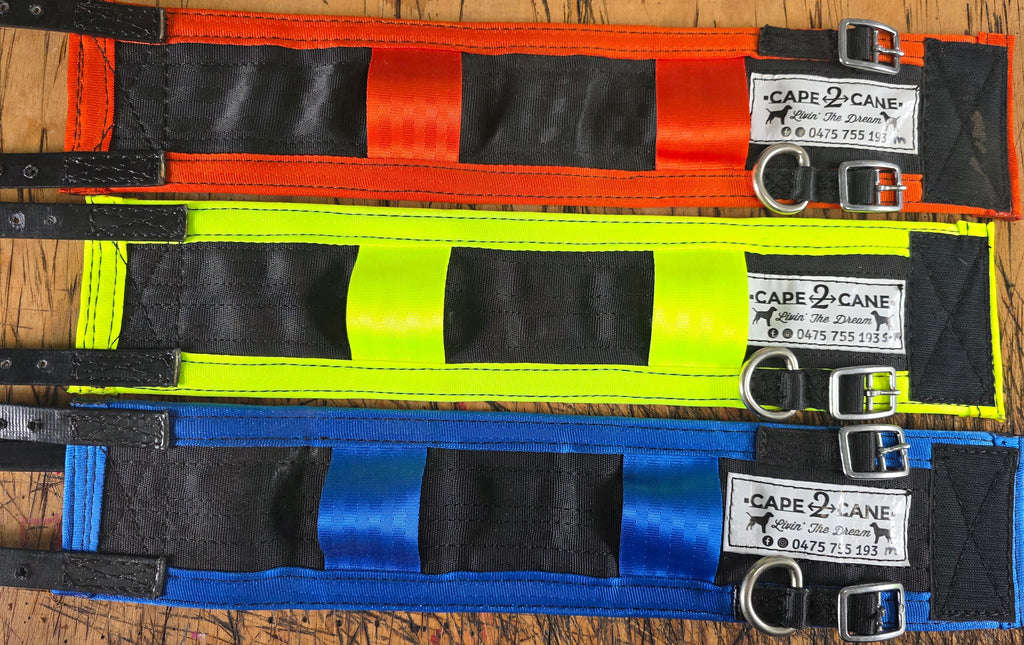 Standard Neck Collar