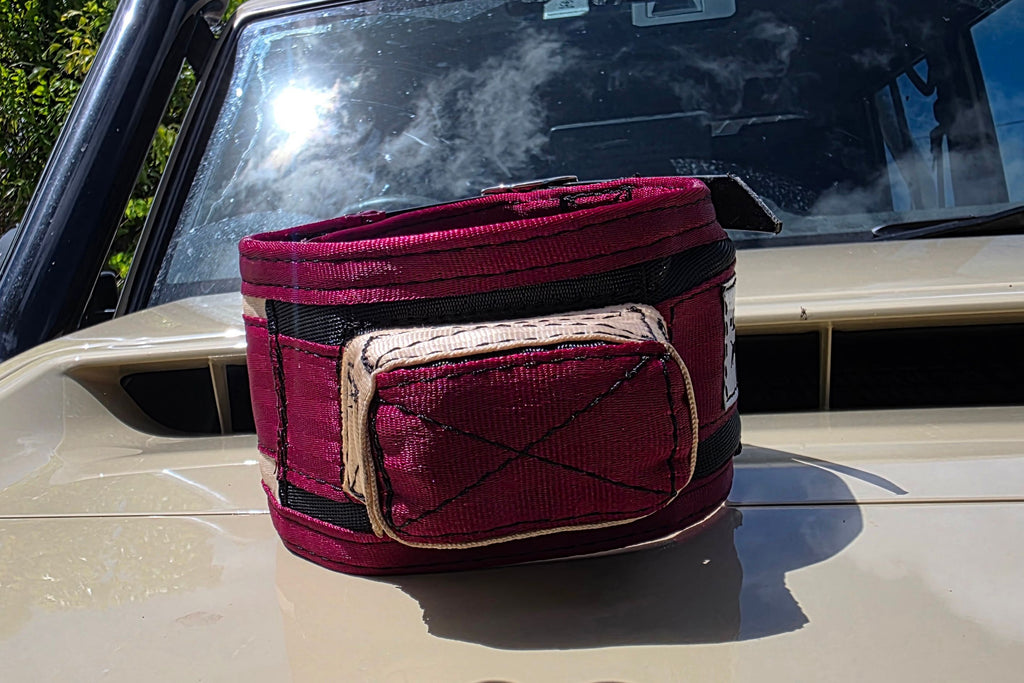 Neck Collar With In-Built Tracker Protector