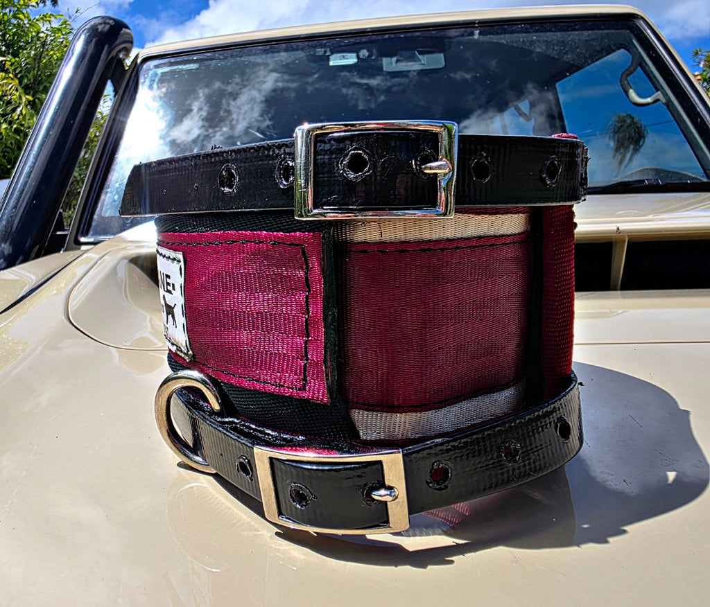 Neck Collar With In-Built Tracker Protector