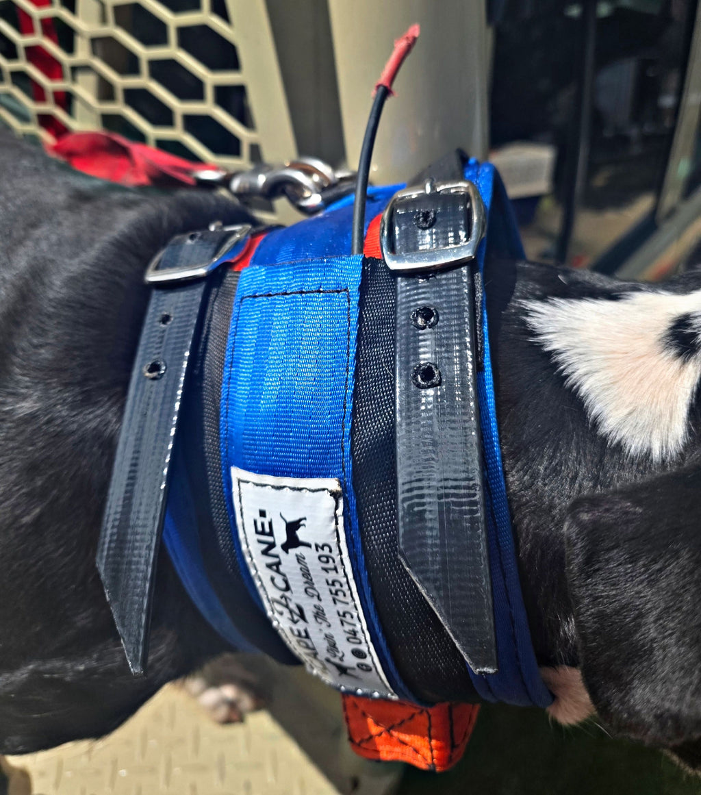 Wide Neck Collar With In-Built Tracker Protector