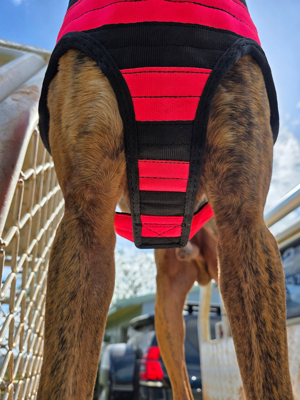Light Weight Step-Through Full Breast Plate