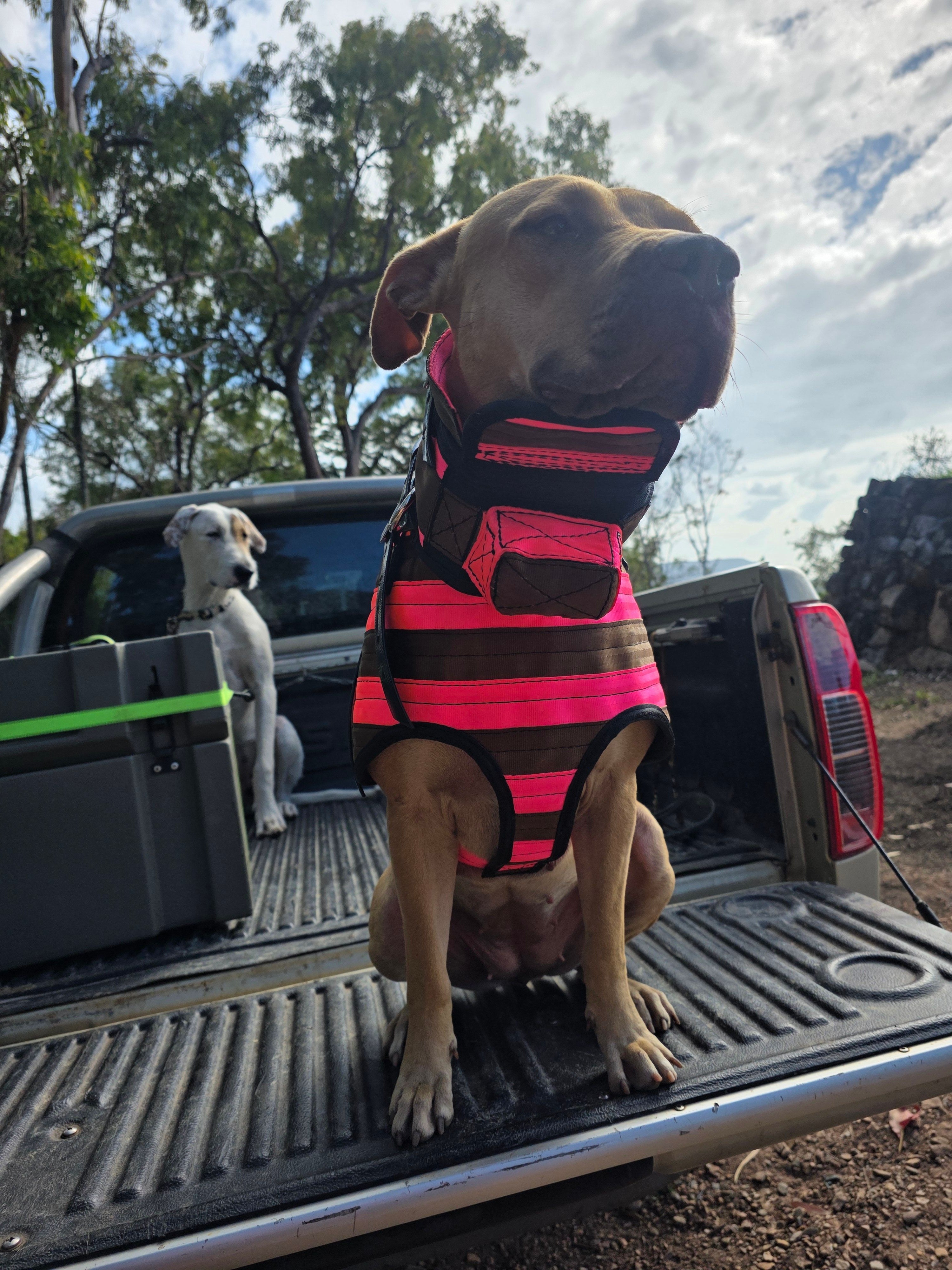 Light Weight Step-Through Full Breast Plate - with Inbuilt Tracker Protector