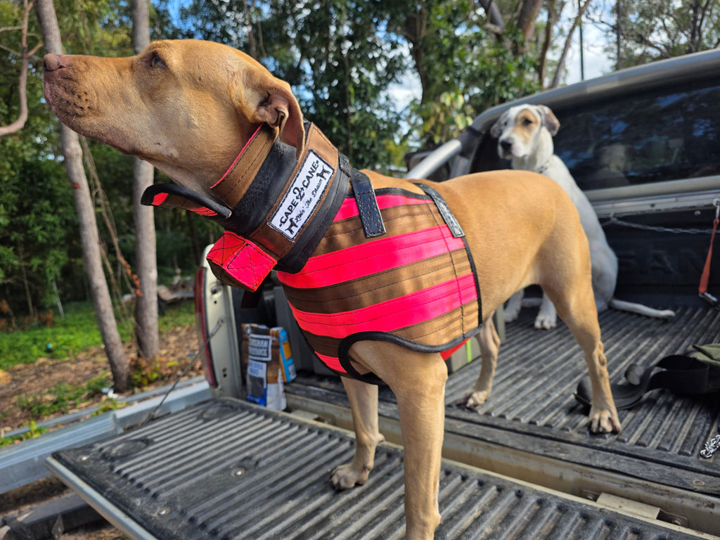 Light Weight Step-Through Full Breast Plate - with Inbuilt Tracker Protector