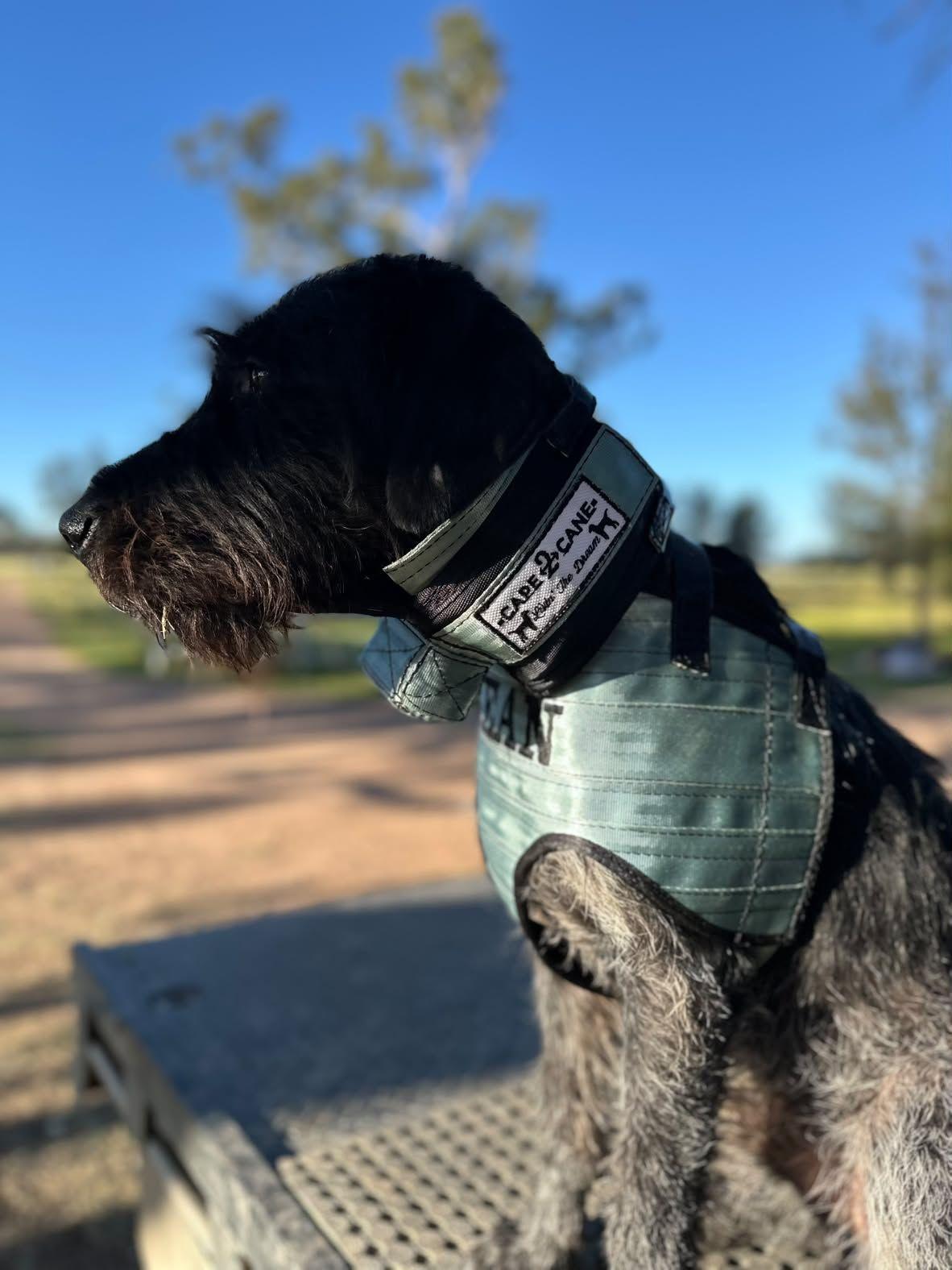 Light Weight Step-Through Full Breast Plate - with Inbuilt Tracker Protector