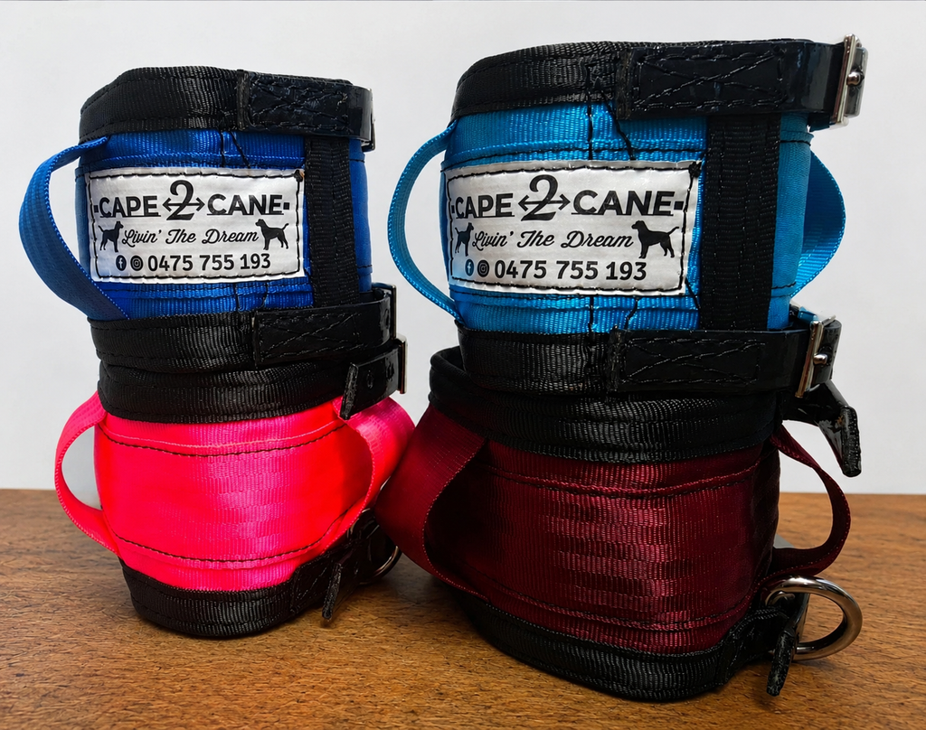 Standard Neck Collar