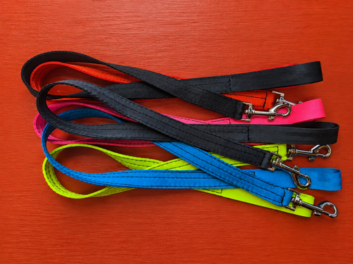 25mm Dog Leash