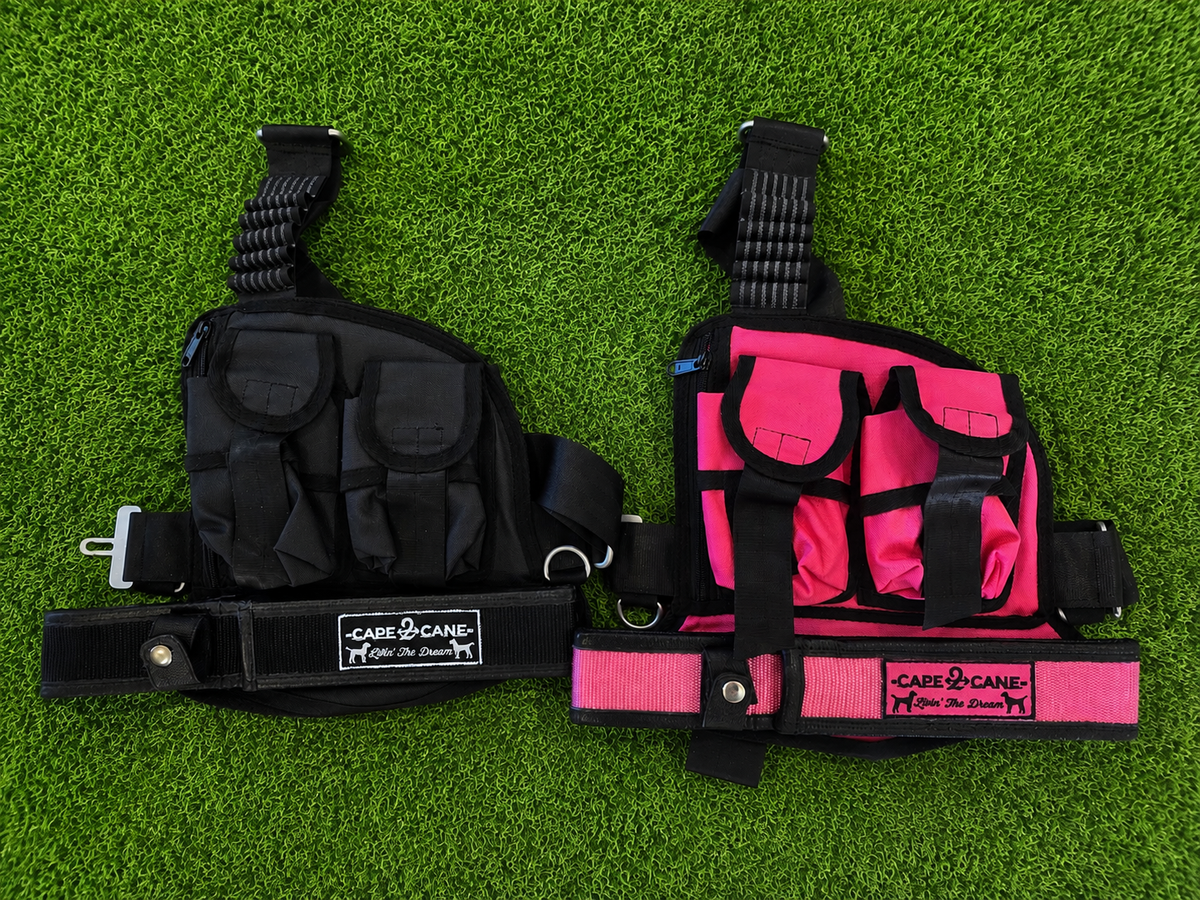 Dual Chest Holster